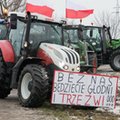 Rolnicy szykują marsz na stolicę. Nieoficjalnie: mają plany co do Lidla i Biedronki