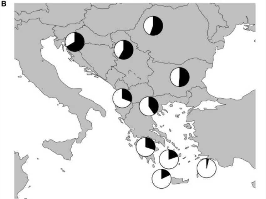 Udeo istočnoevropskog porekla u današnjim balkanskim populacijama