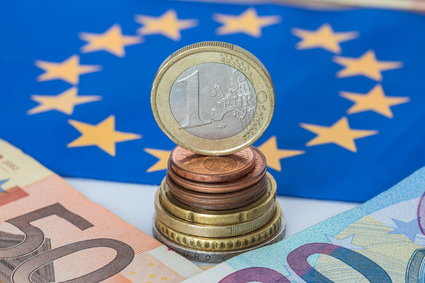 PMI strefy euro w dół