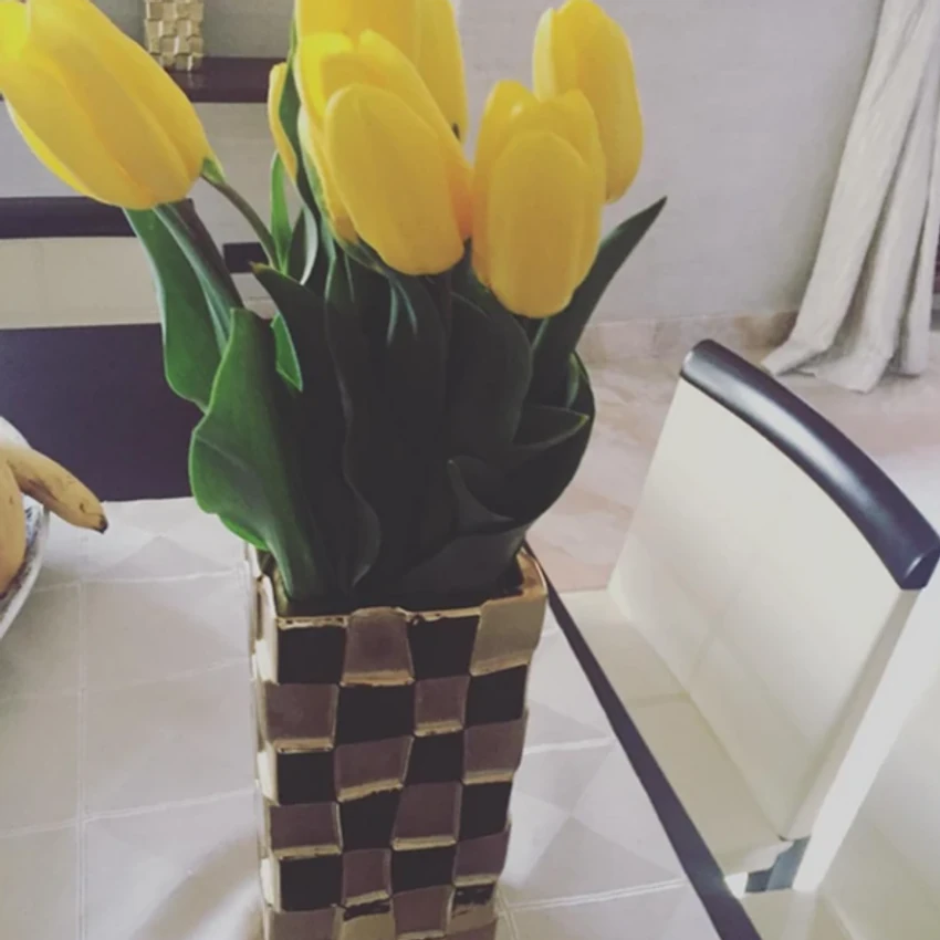 Nataša Ninković, objava