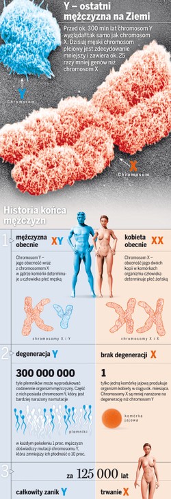 Mężczyzn czeka zagłada