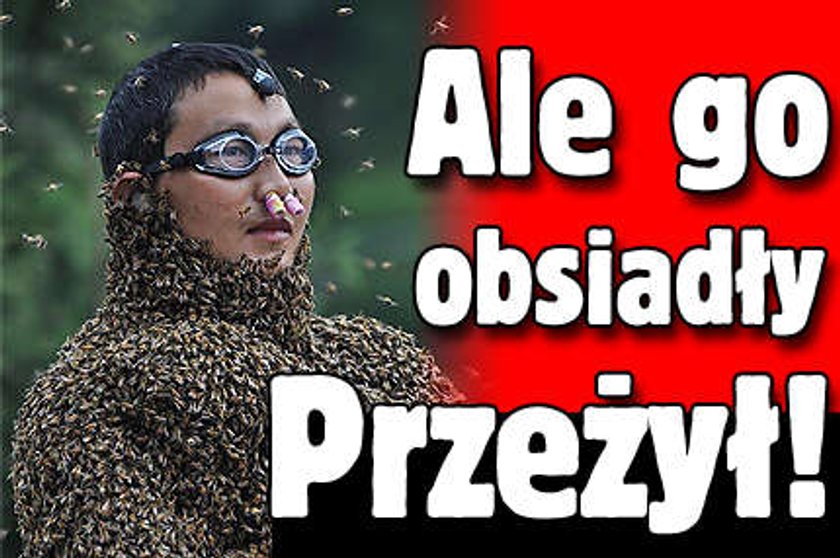 Ale go obsiadły. Przeżył!