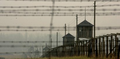 Co za wstyd! Obnażał się na terenie obozu zagłady!