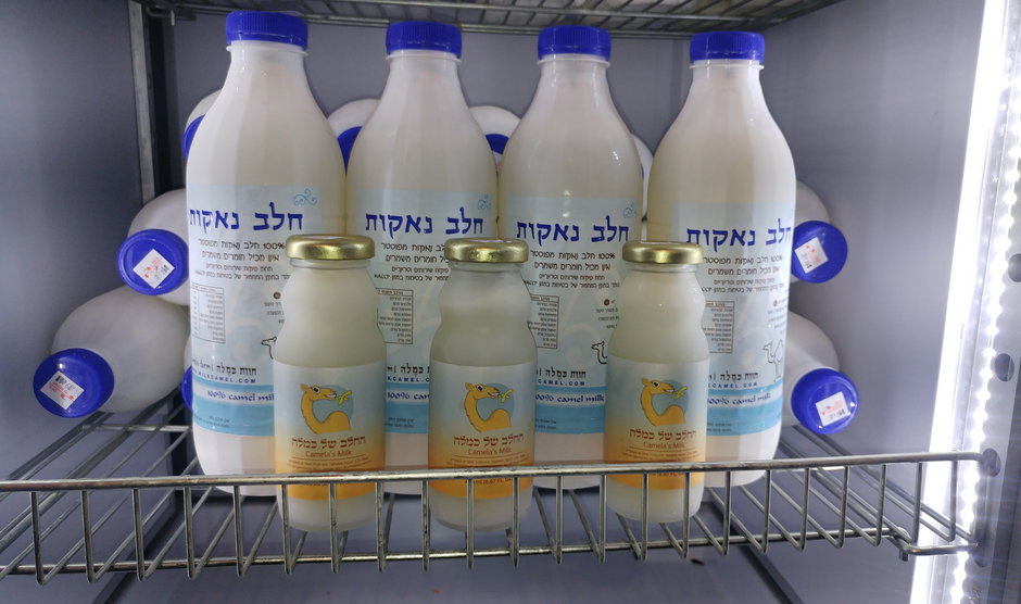 Mleko wielbłądzie jest sprzedawane w sklepach w Izraelu