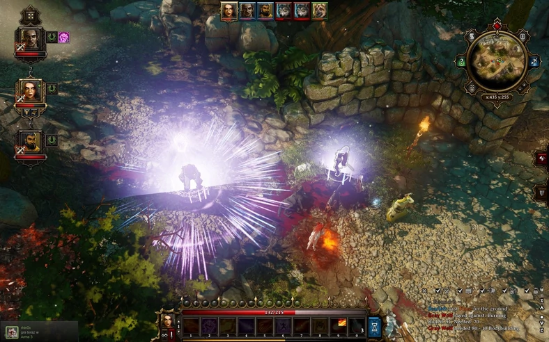 Divinity: Original Sin