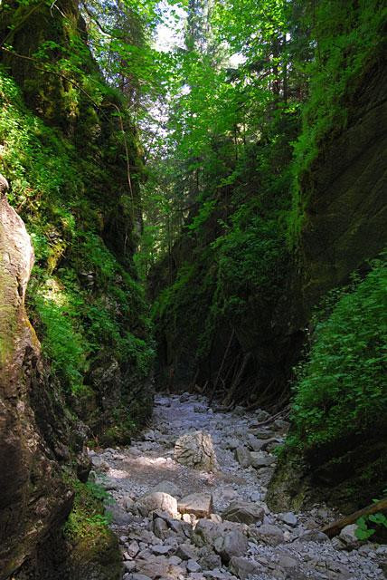 Galeria Polska - Tatry - Wąwóz Kraków, obrazek 5