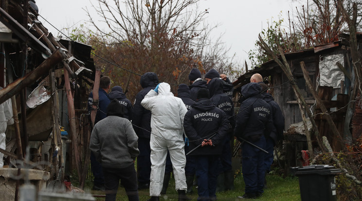 A rendőrök mindent aprólékosan átkutattak, a porta egyetlen kis darabja sem maradhatott átnézetlenül / Fotó: Isza Ferenc 