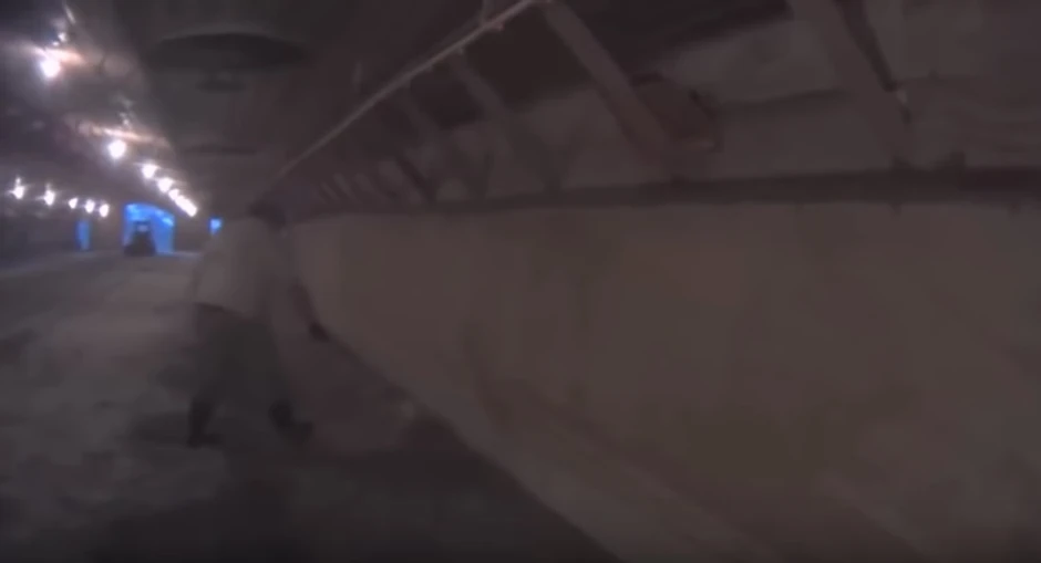 Ptice žive u mraku gde ih tuku