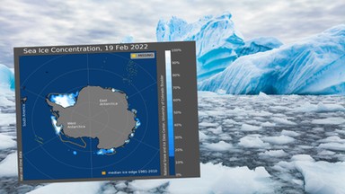 Alarmujące wieści z Antarktydy. Naukowcy głowią się, o co chodzi. "Ekstremalne zjawisko"