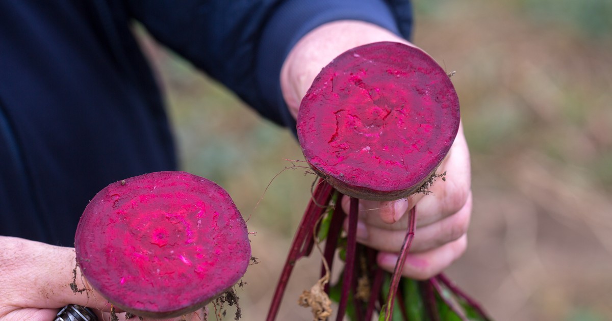 Przez cały rok piłam rano pół szklanki zakwasu z buraka. Efekt? Niesamowity