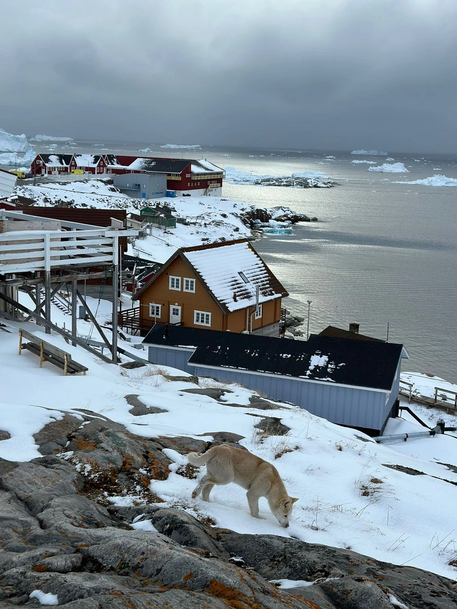 Iv Beserovac, Srbin koji je posetio Grenland