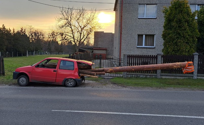 Cinquecento z balem drewna niczym czołg z 9-merową armatą