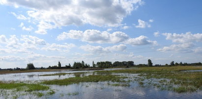 Powódź drugi raz w ciągu miesiąca nęka rolników z Pacanowa. "My tego nie wytrzymamy"