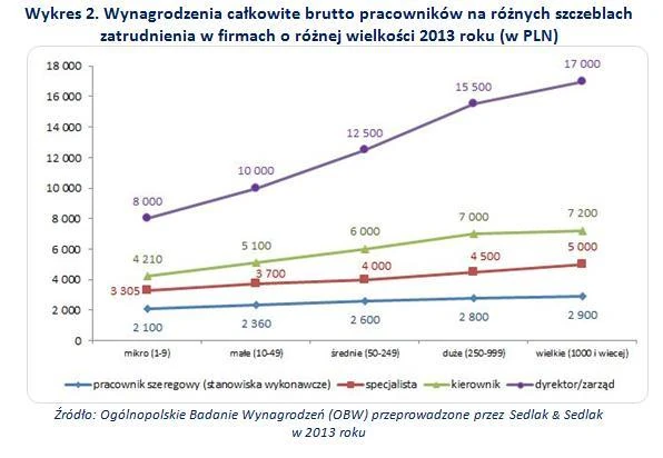 wynagrodzenia w firmach