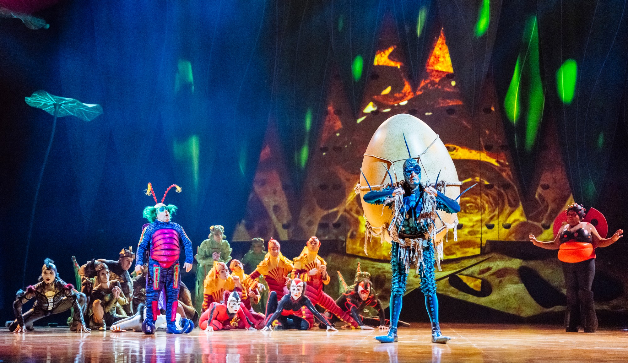 CIRQUE DU SOLEIL – OVO