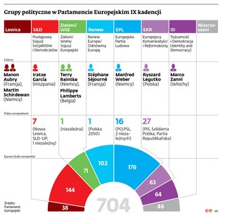 Grupy polityczne w Parlamencie Europejskim IX kadencji