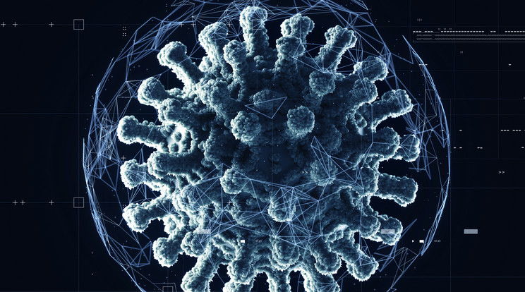 koronavírus Fotó: Getty Images