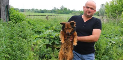 Jego pan zginął w płomieniach. Kundelek Bary czekał na niego w zgliszczach