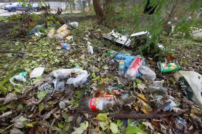 Urzędnicy chwalą się medalem za mapę porządku