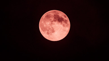 Już dziś zobaczymy na niebie "truskawkowy Księżyc". Gdzie i o której go oglądać?