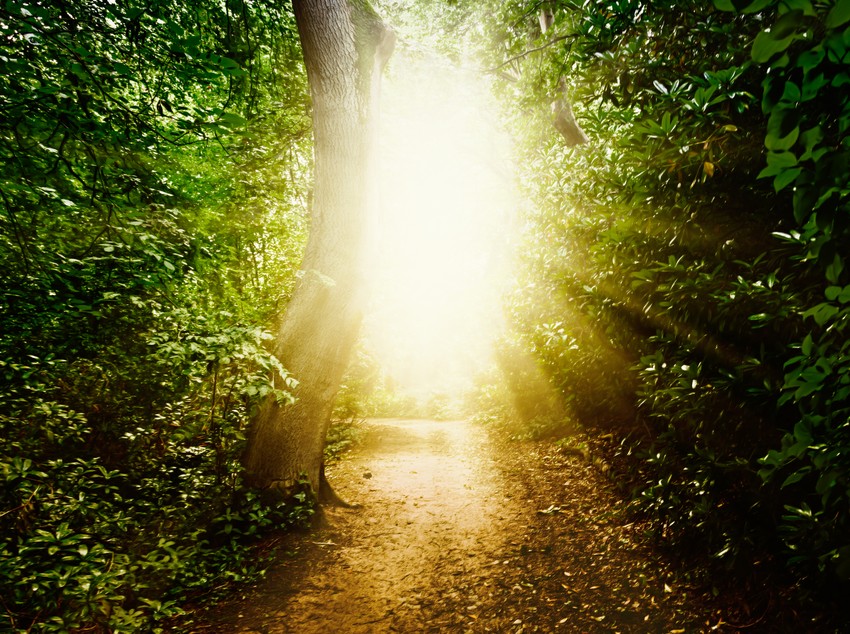 Pri susretu sa smrću učesnici su videli i najlepšu svetlost koju su ikada videli 