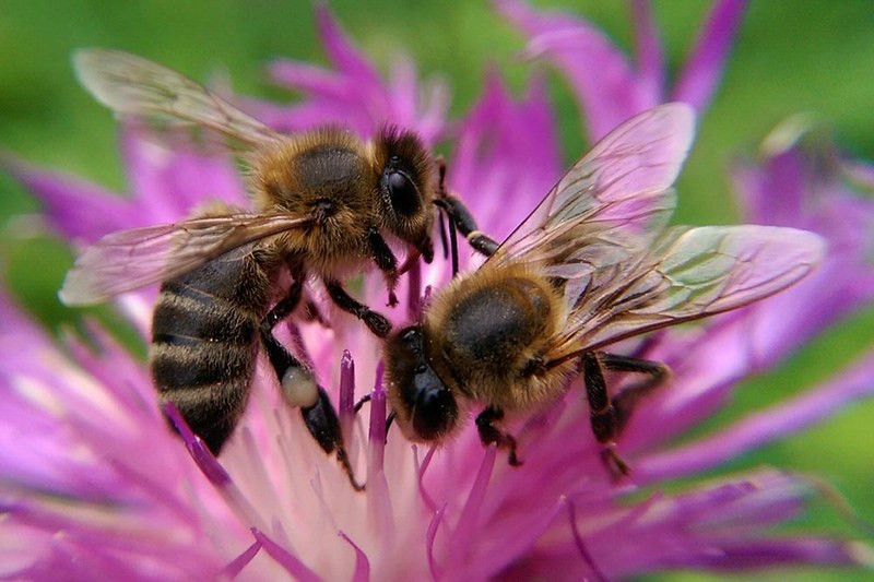 Team work, fot. Kamil Kawczyński