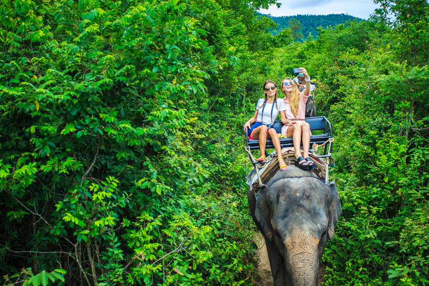 Przejażdżka na słoniu wspiera okrutną turystykę wyzysku zwierząt