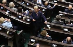 Morawiecki wygłaszał expose, a Krzywonos w tym czasie...