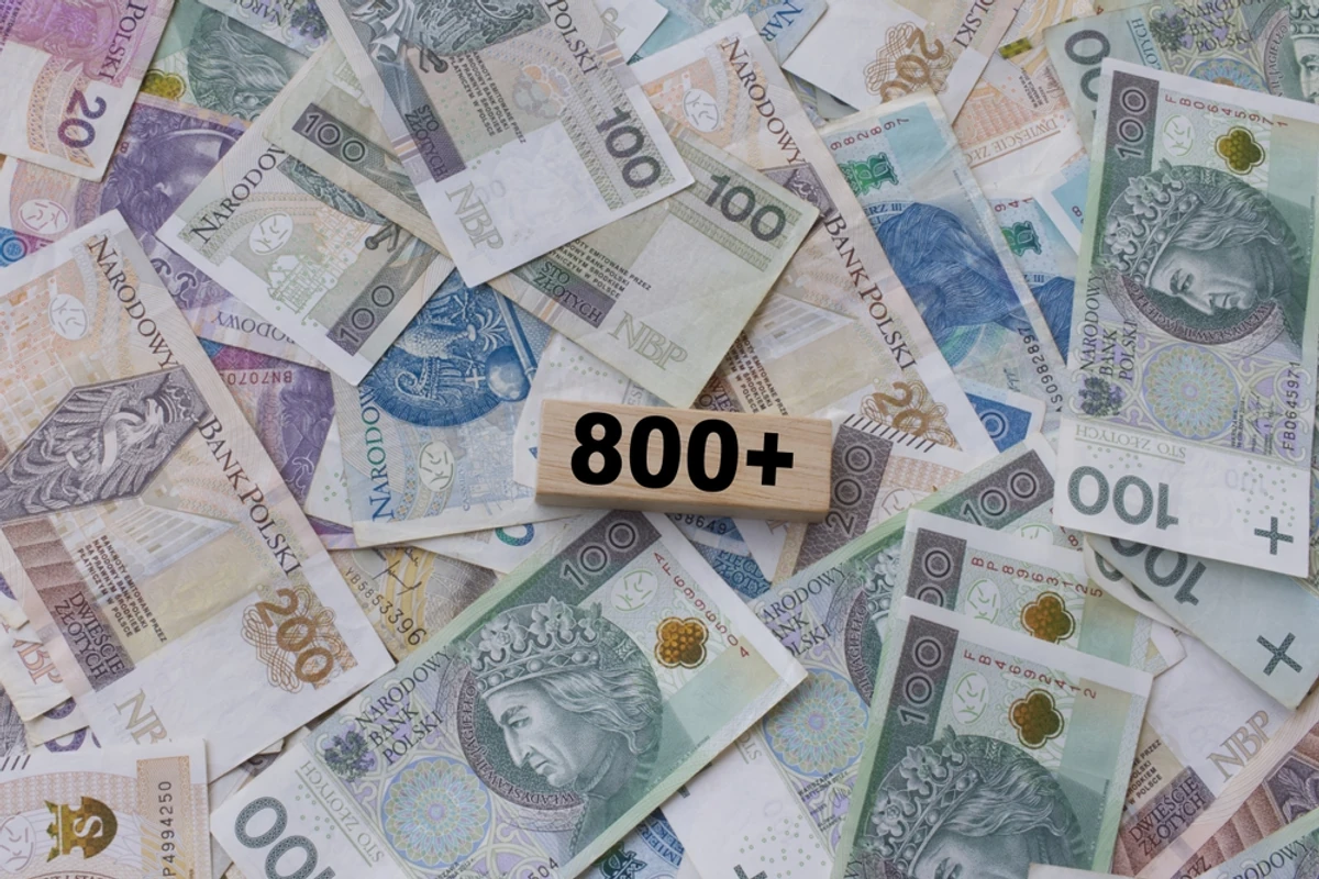 800 plus tylko dla pracujących Ukraińców. Tego chcą smerfy. "Logiczne"