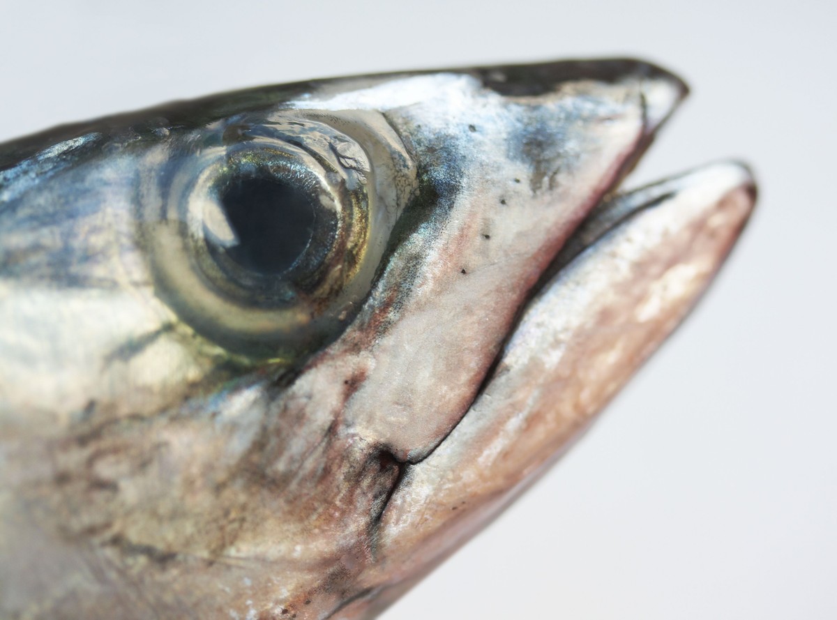 Ryby w diecie to nie tylko źródło kwasów omega 3, ale i witaminy D, selenu i jodu