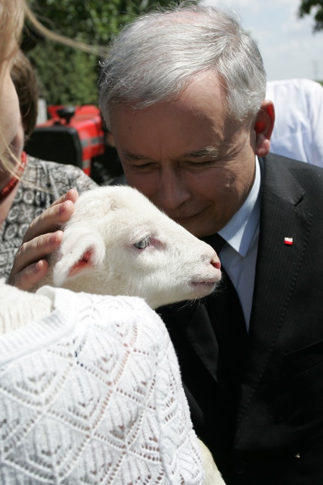 KUBALIN KAMPANIA PREZYDENCKA PIS KACZYŃSKI