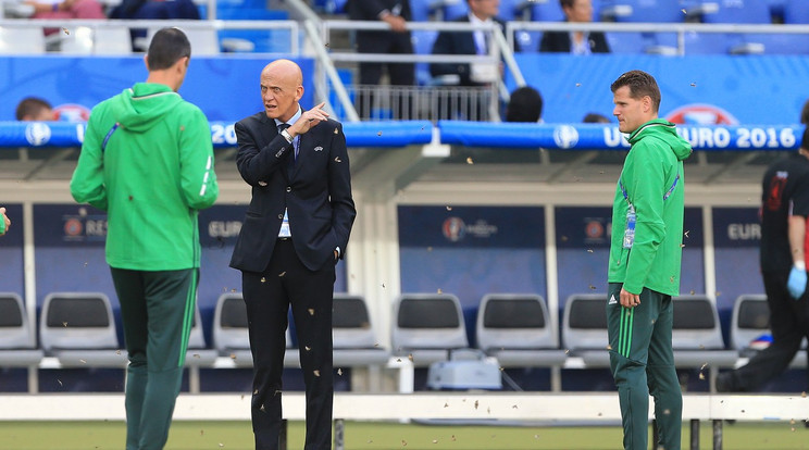 Az UEFA játékvezetői bizottságának instruktorát, Pierluigi Collinát is ellepték molyok /Fotó: Profimedia-RedDot