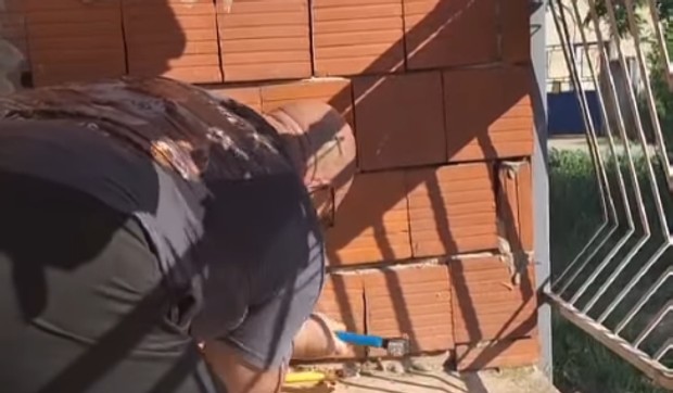 Vladica razbio zid da bi izvukao zmiju