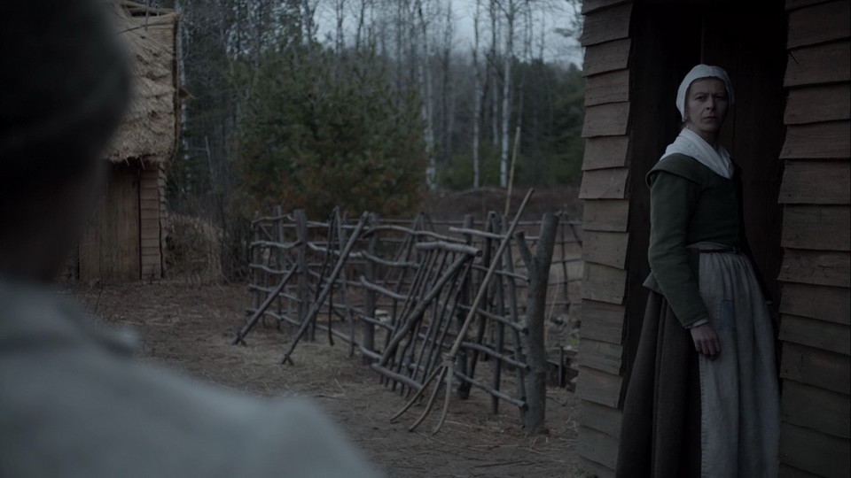 "The Witch" (2015)