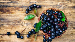 Aronia