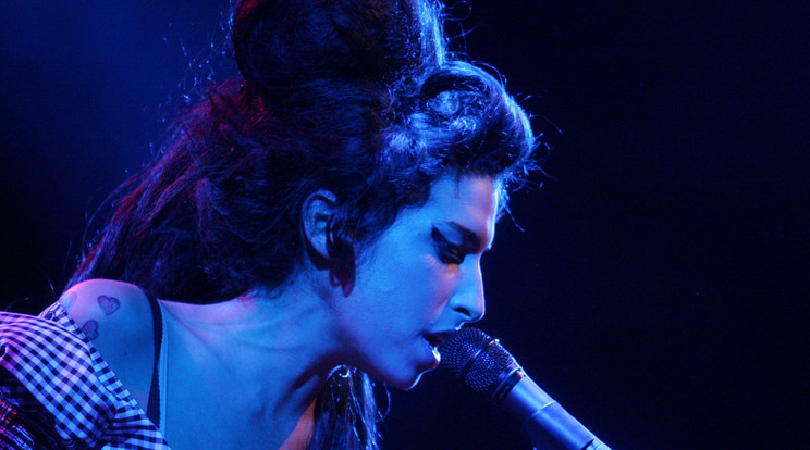 Egy török művész megmutatta hogyan nézne ki Diana hercegné vagy Amy Winehouse, ha még ma is élnének/ Fotó: Northfoto