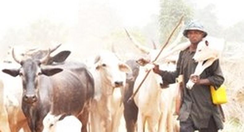 Sokoto LG seeks patrol teams to tackle cattle rustling