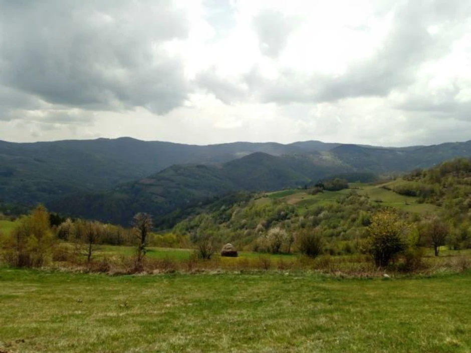 Lekovita ruža vetrova: Mesto gde dođeš da duboko dišeš