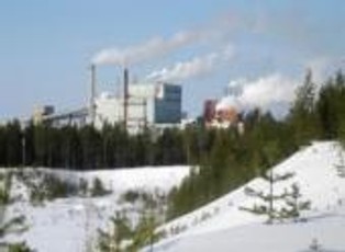 Europa wytwarza za dużo papieru