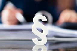 praca kidinfluencerów w sieci wymaga pilnych regulacji