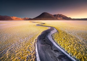 Salar de Gorbea