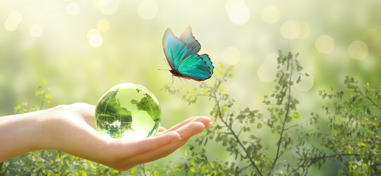 QUIZ z biologii. Co pamiętasz ze szkoły? Najlepsi zdobędą komplet punktów