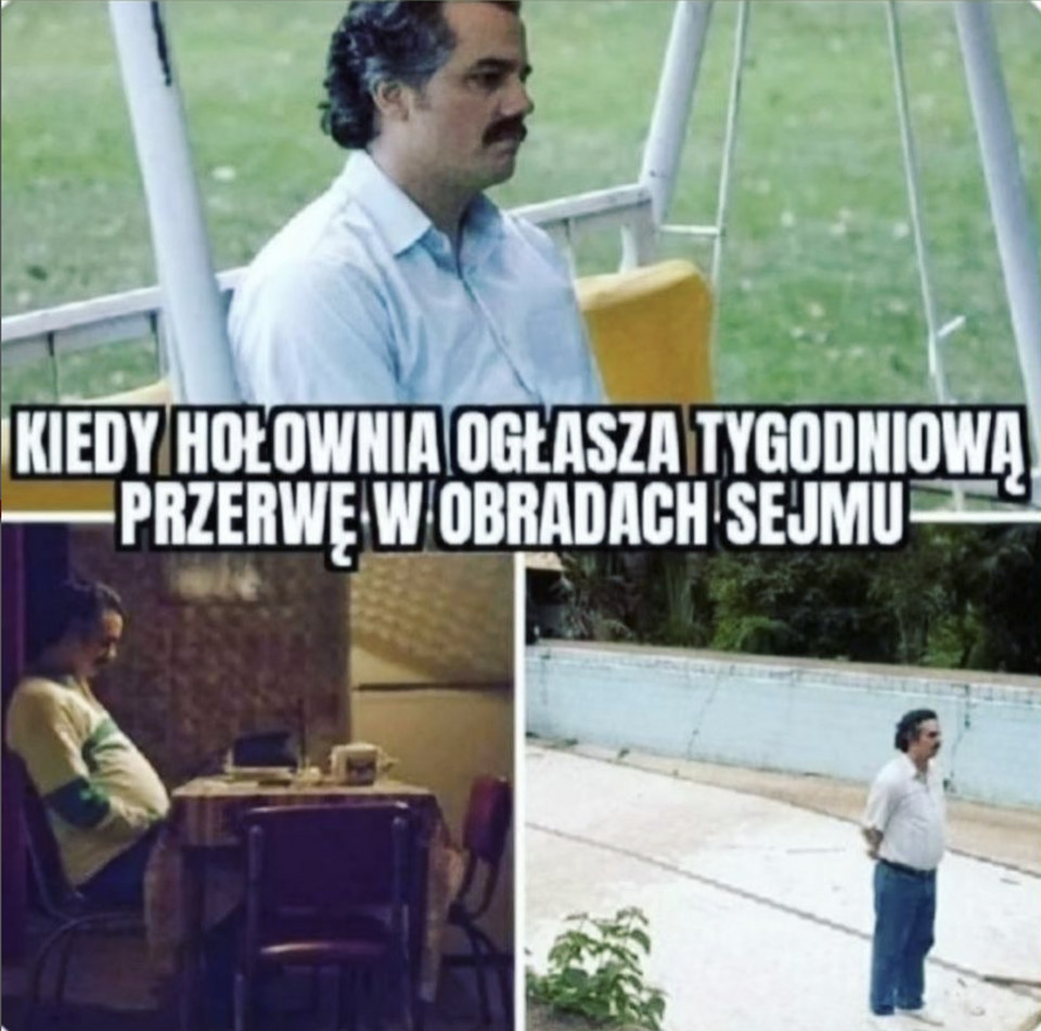 Memy o Szymonie Hołowni i kolejnym posiedzeniu Sejmu