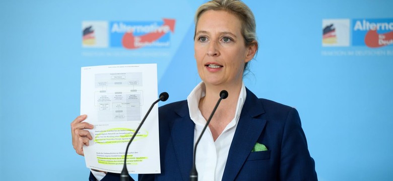 Poseł Lewicy do polityk AFD: Polska armia lepsza od niemieckiej. Wracaj do naziolskiej budy