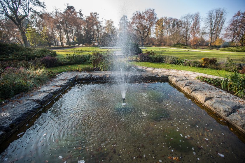 Ogród Botaniczny będzie czynny całą zimę