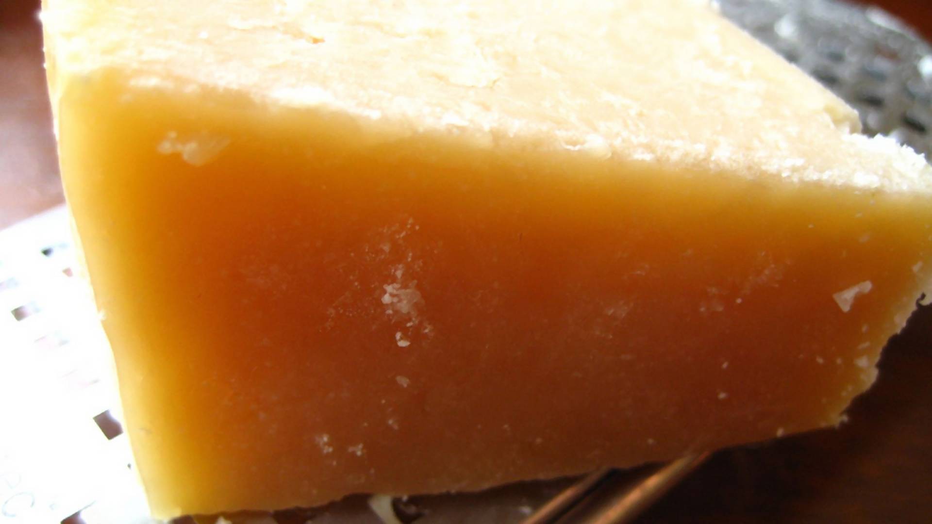 Włoski ser czy przysmak dla bobrów? Uwaga na parmezan z celulozą