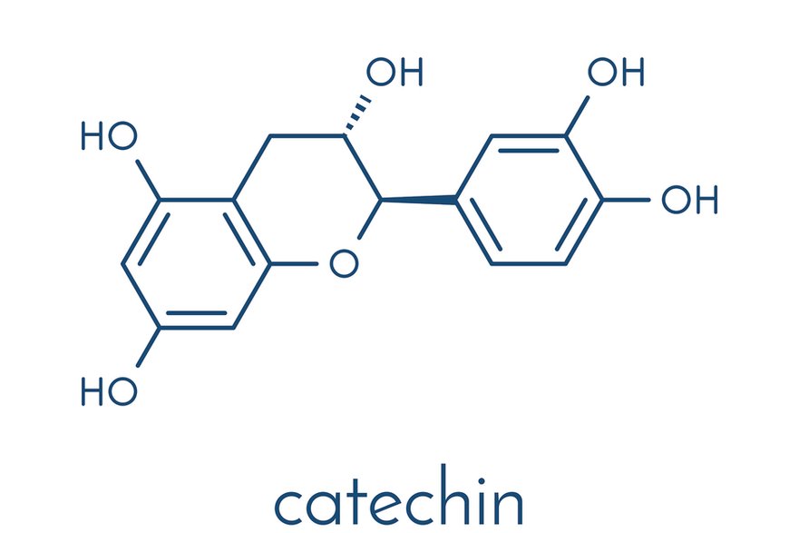 Katechiny to grupa związków polifenolowych zaliczanych do flawanoli