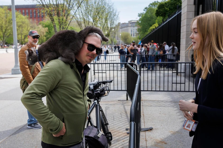 mačka Sofi iz Bele kuće