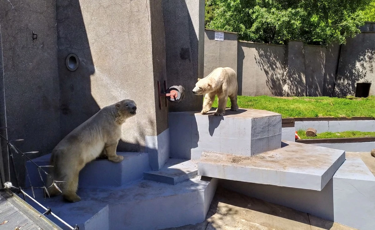  Tych zwierząt w warszawskim zoo już nie zobaczysz