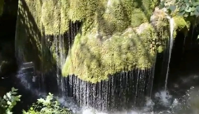 450782_bigar-foto-youtube